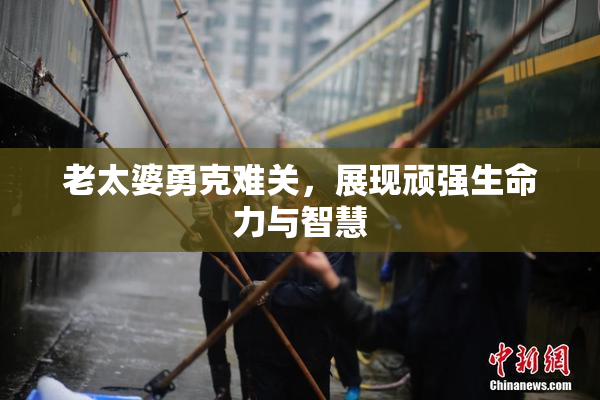 老太婆勇克难关，展现顽强生命力与智慧