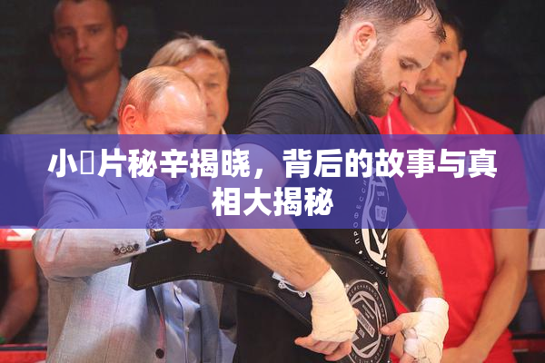 小黃片秘辛揭晓，背后的故事与真相大揭秘