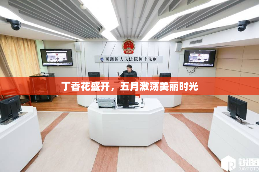 丁香花盛开，五月激荡美丽时光