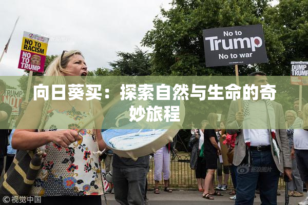 向日葵买：探索自然与生命的奇妙旅程