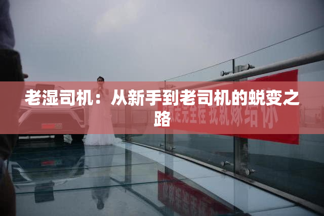 老湿司机：从新手到老司机的蜕变之路