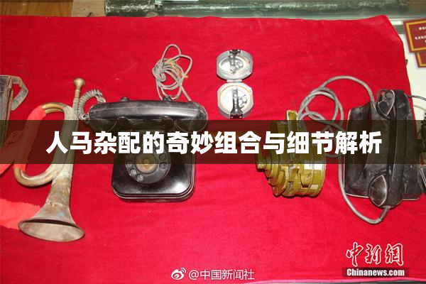 人马杂配的奇妙组合与细节解析