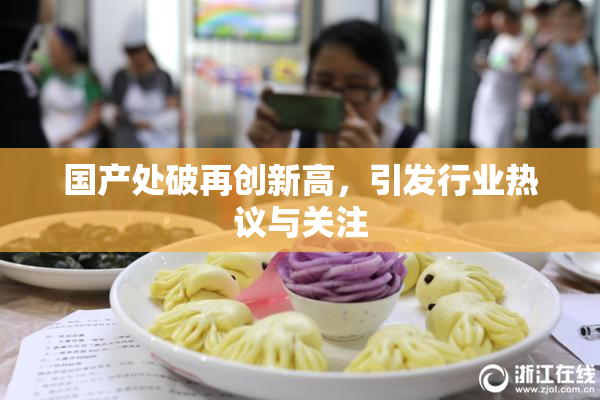 国产处破再创新高，引发行业热议与关注