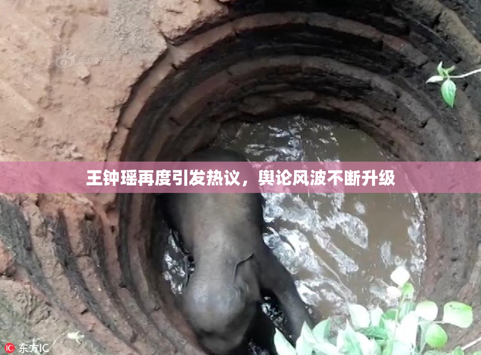 王钟瑶再度引发热议，舆论风波不断升级