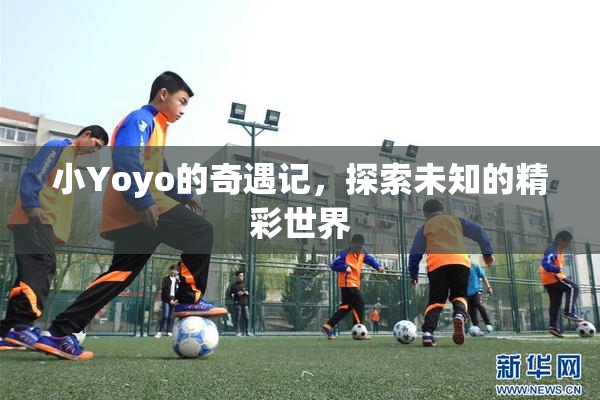 小Yoyo的奇遇记，探索未知的精彩世界