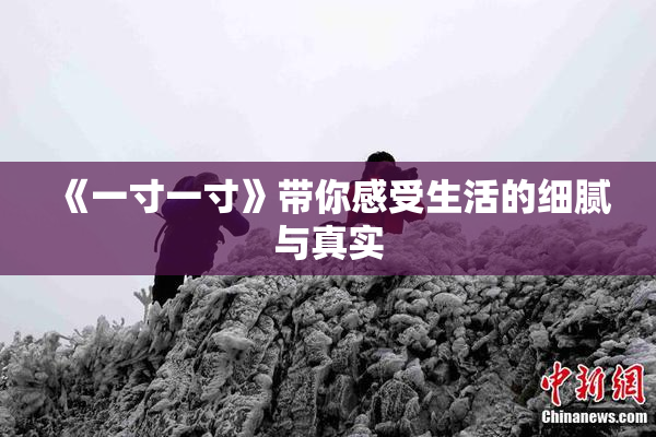 《一寸一寸》带你感受生活的细腻与真实
