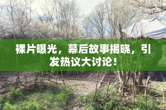 裸片曝光，幕后故事揭晓，引发热议大讨论！