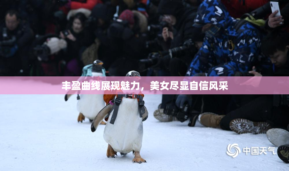 丰盈曲线展现魅力，美女尽显自信风采