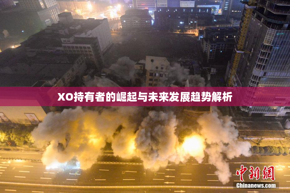 XO持有者的崛起与未来发展趋势解析