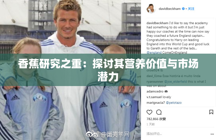 香蕉研究之重：探讨其营养价值与市场潜力