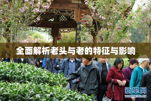 全面解析老头与老的特征与影响