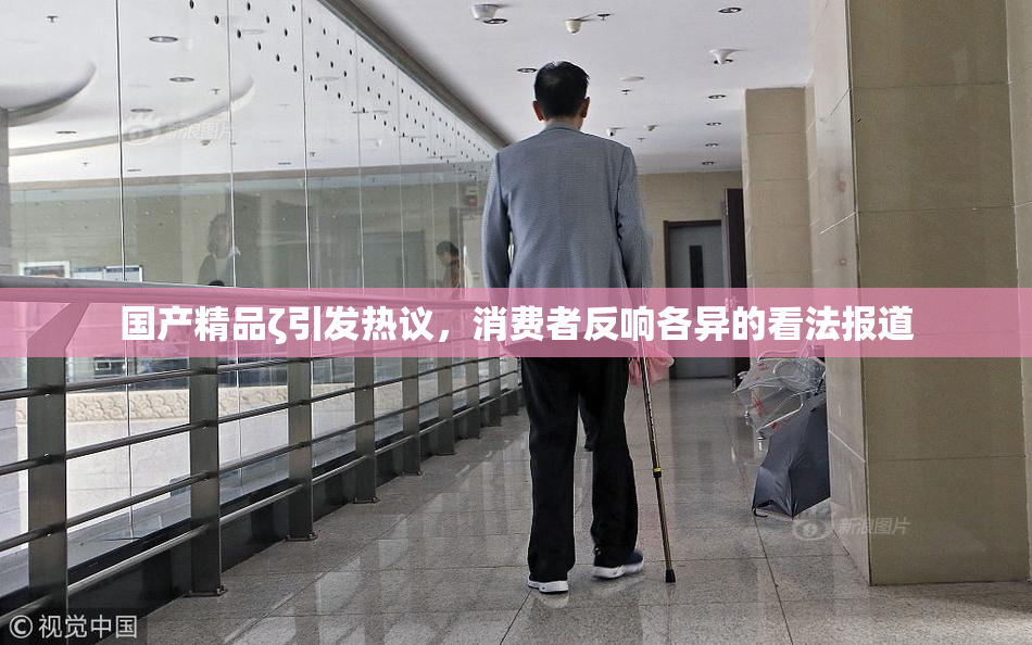 国产精品ζ引发热议，消费者反响各异的看法报道
