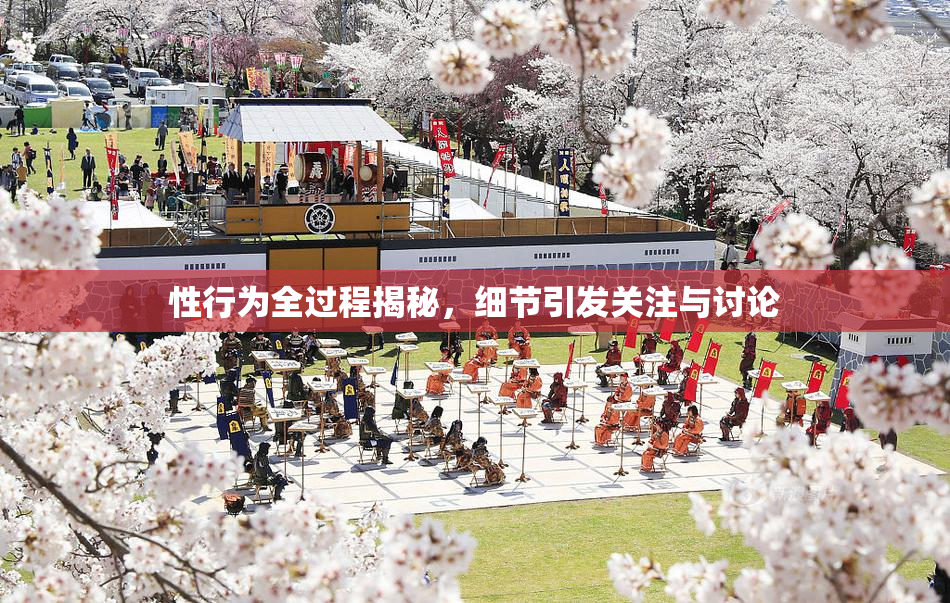 性行为全过程揭秘，细节引发关注与讨论