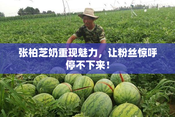 张柏芝奶重现魅力，让粉丝惊呼停不下来！