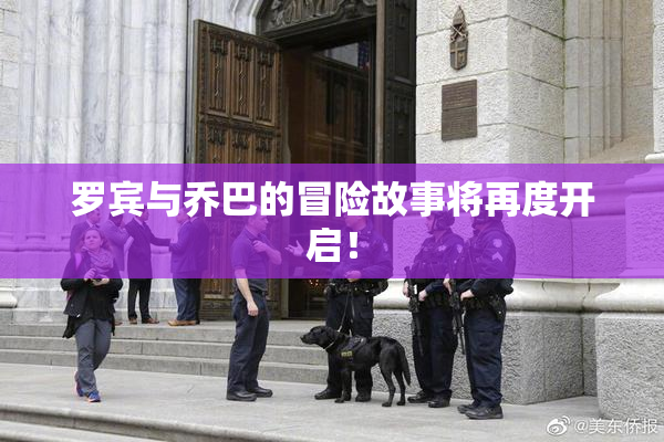 罗宾与乔巴的冒险故事将再度开启！