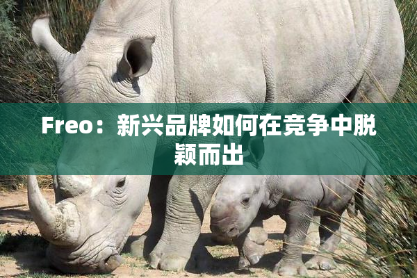Freo：新兴品牌如何在竞争中脱颖而出