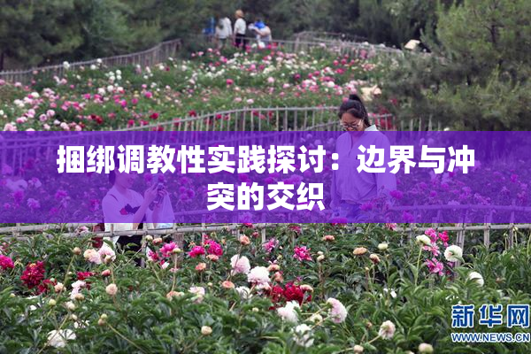 捆绑调教性实践探讨：边界与冲突的交织