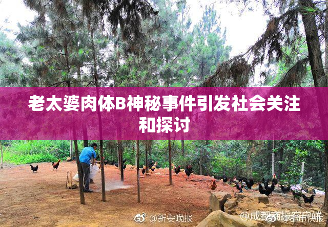 老太婆肉体B神秘事件引发社会关注和探讨