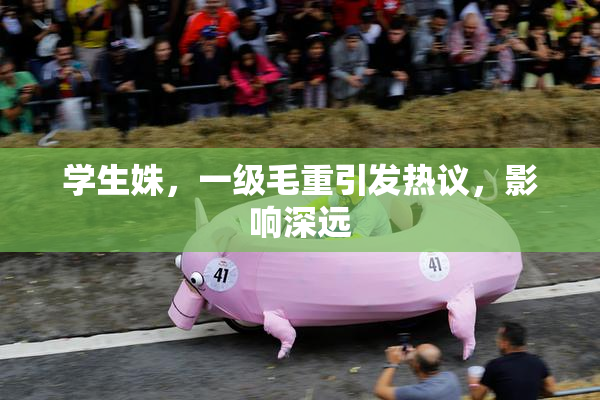 学生姝，一级毛重引发热议，影响深远