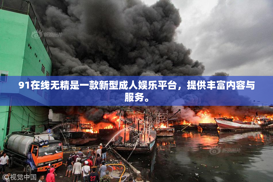91在线无精是一款新型成人娱乐平台，提供丰富内容与服务。