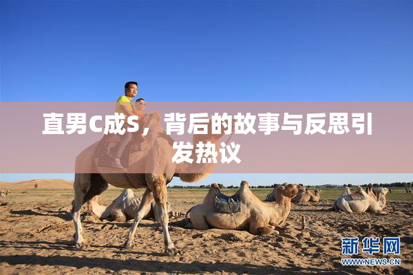直男C成S，背后的故事与反思引发热议