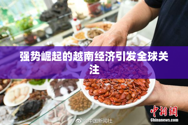 强势崛起的越南经济引发全球关注