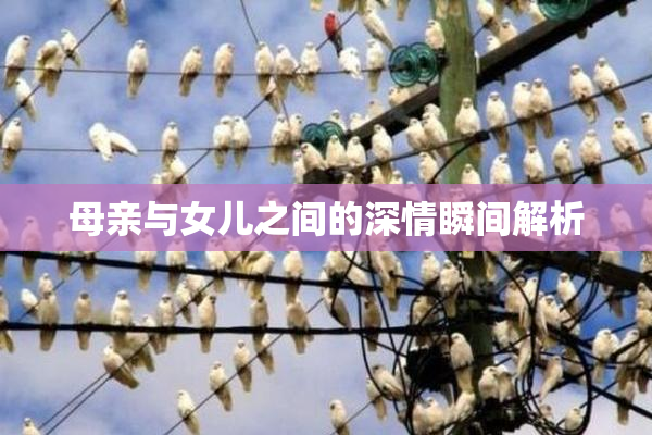 母亲与女儿之间的深情瞬间解析