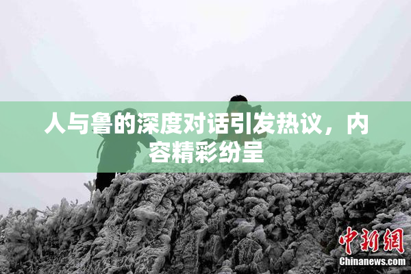 人与鲁的深度对话引发热议，内容精彩纷呈