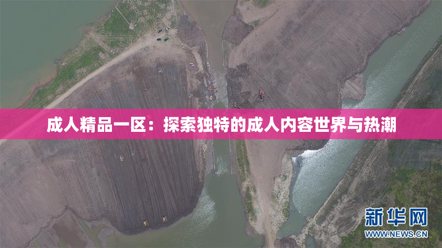 成人精品一区：探索独特的成人内容世界与热潮