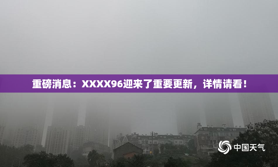 重磅消息：XXXX96迎来了重要更新，详情请看！