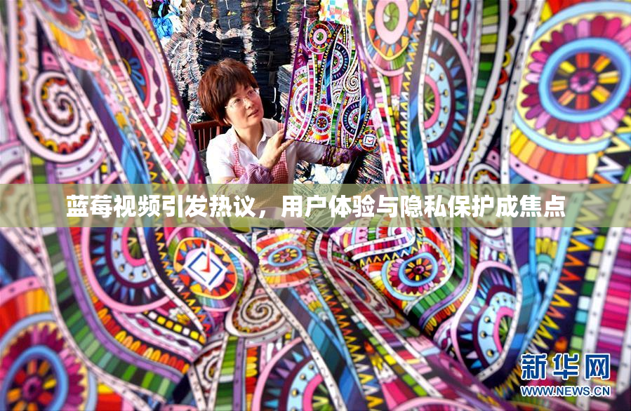 蓝莓视频引发热议，用户体验与隐私保护成焦点
