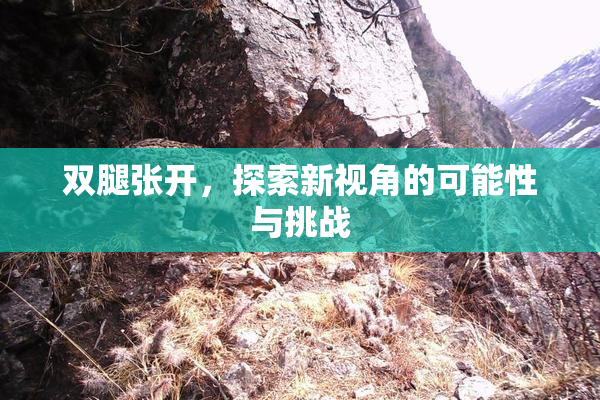 双腿张开，探索新视角的可能性与挑战