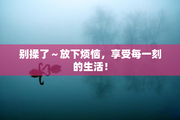 别揉了～放下烦恼，享受每一刻的生活！