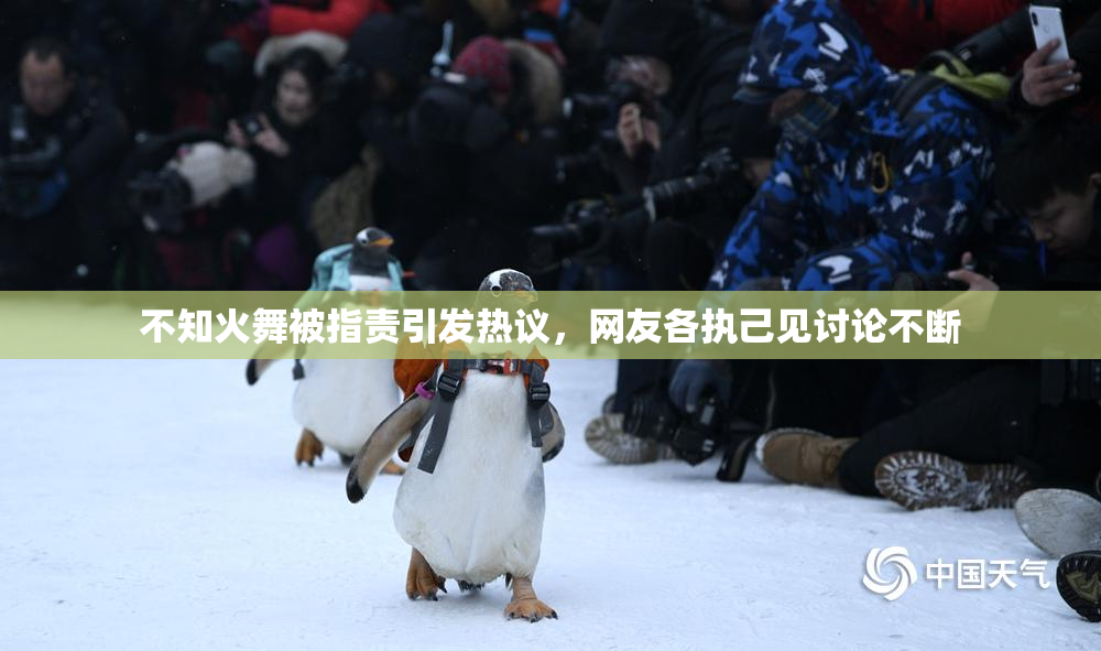 不知火舞被指责引发热议，网友各执己见讨论不断