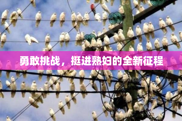 勇敢挑战，挺进熟妇的全新征程