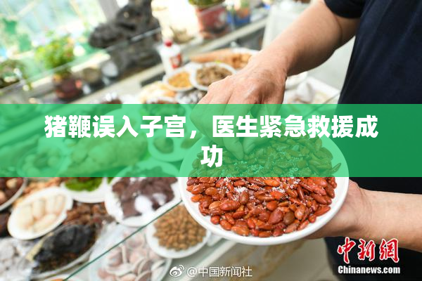 猪鞭误入子宫，医生紧急救援成功