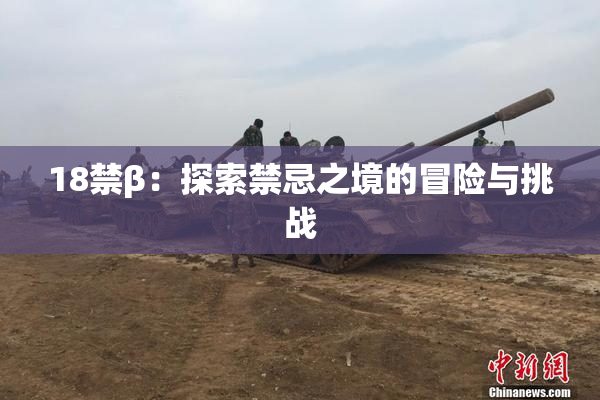 18禁β：探索禁忌之境的冒险与挑战