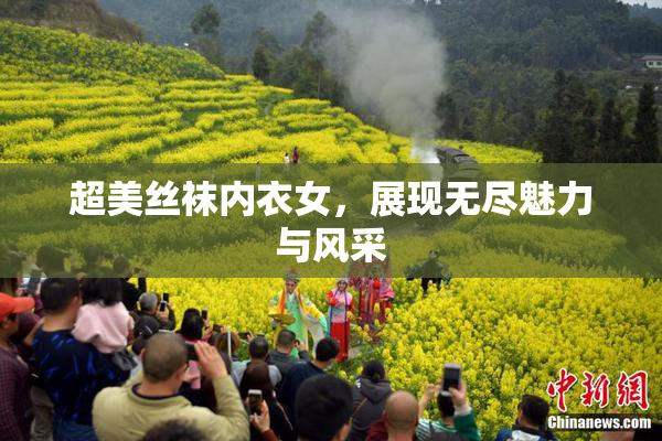超美丝袜内衣女，展现无尽魅力与风采