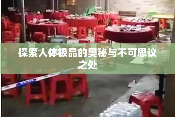 探索人体极品的奥秘与不可思议之处