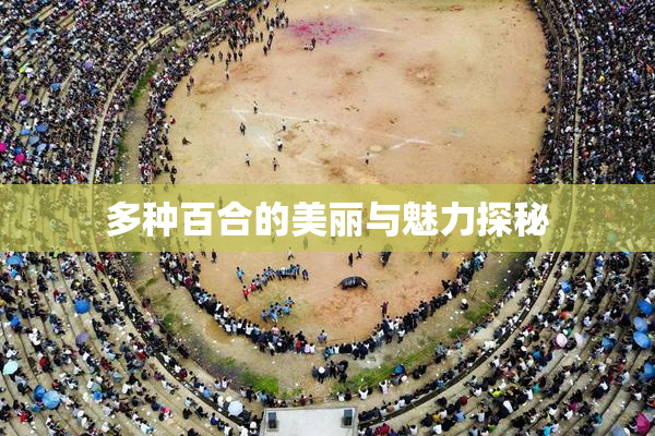 多种百合的美丽与魅力探秘