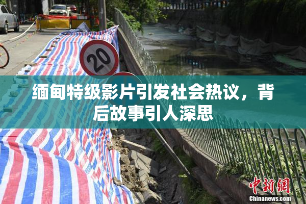 缅甸特级影片引发社会热议，背后故事引人深思