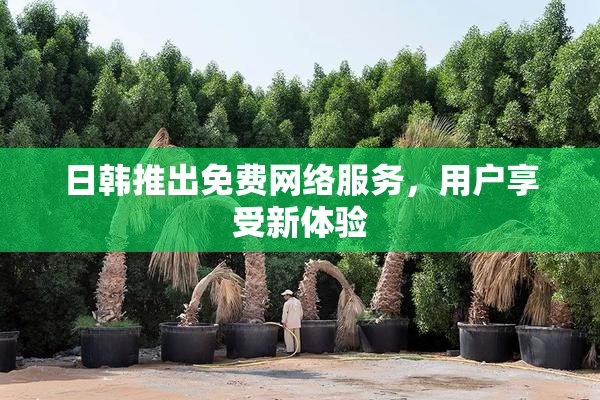 日韩推出免费网络服务，用户享受新体验