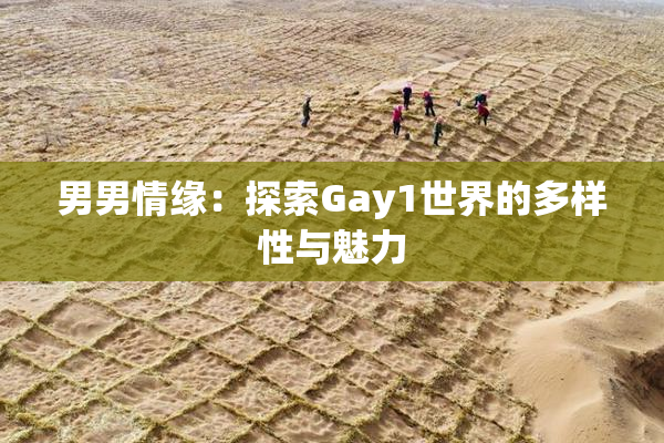 男男情缘：探索Gay1世界的多样性与魅力