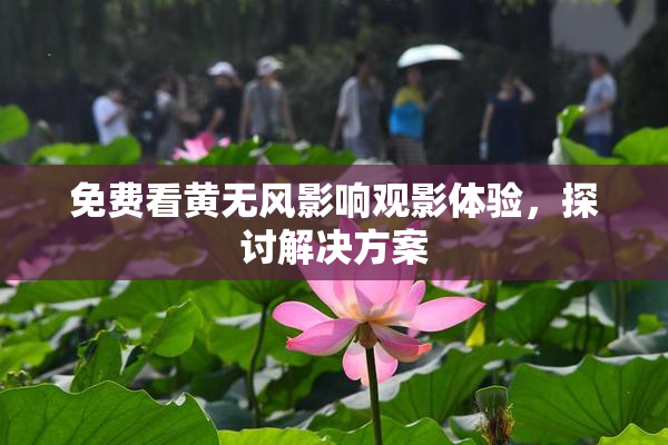 免费看黄无风影响观影体验，探讨解决方案