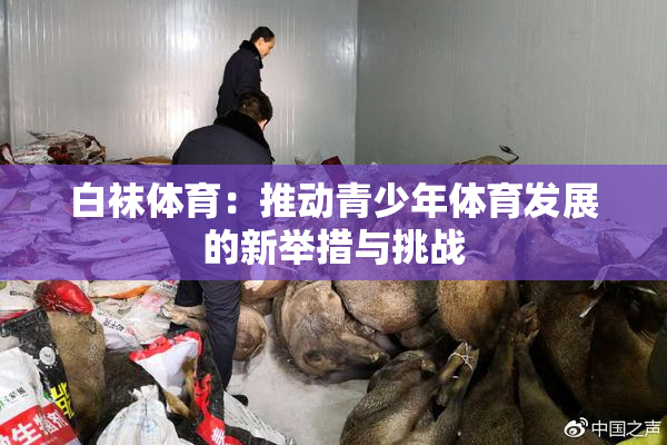 白袜体育：推动青少年体育发展的新举措与挑战
