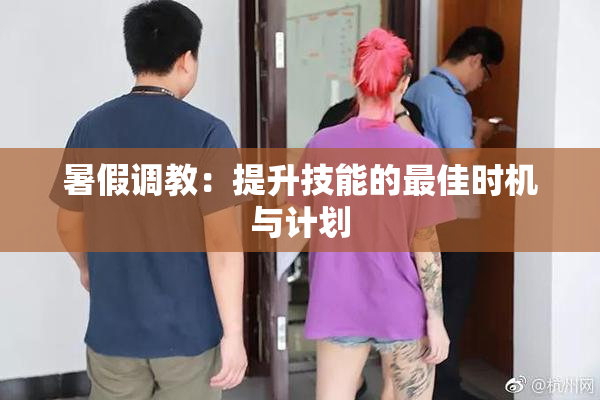 暑假调教：提升技能的最佳时机与计划