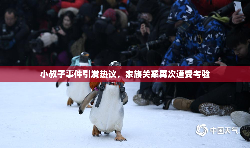 小叔子事件引发热议，家族关系再次遭受考验