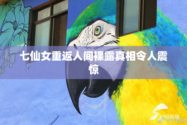 七仙女重返人间裸露真相令人震惊