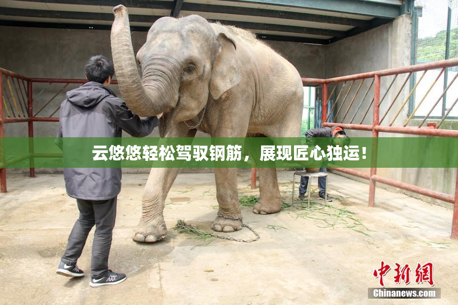 云悠悠轻松驾驭钢筋，展现匠心独运！