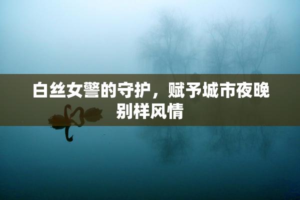 白丝女警的守护，赋予城市夜晚别样风情